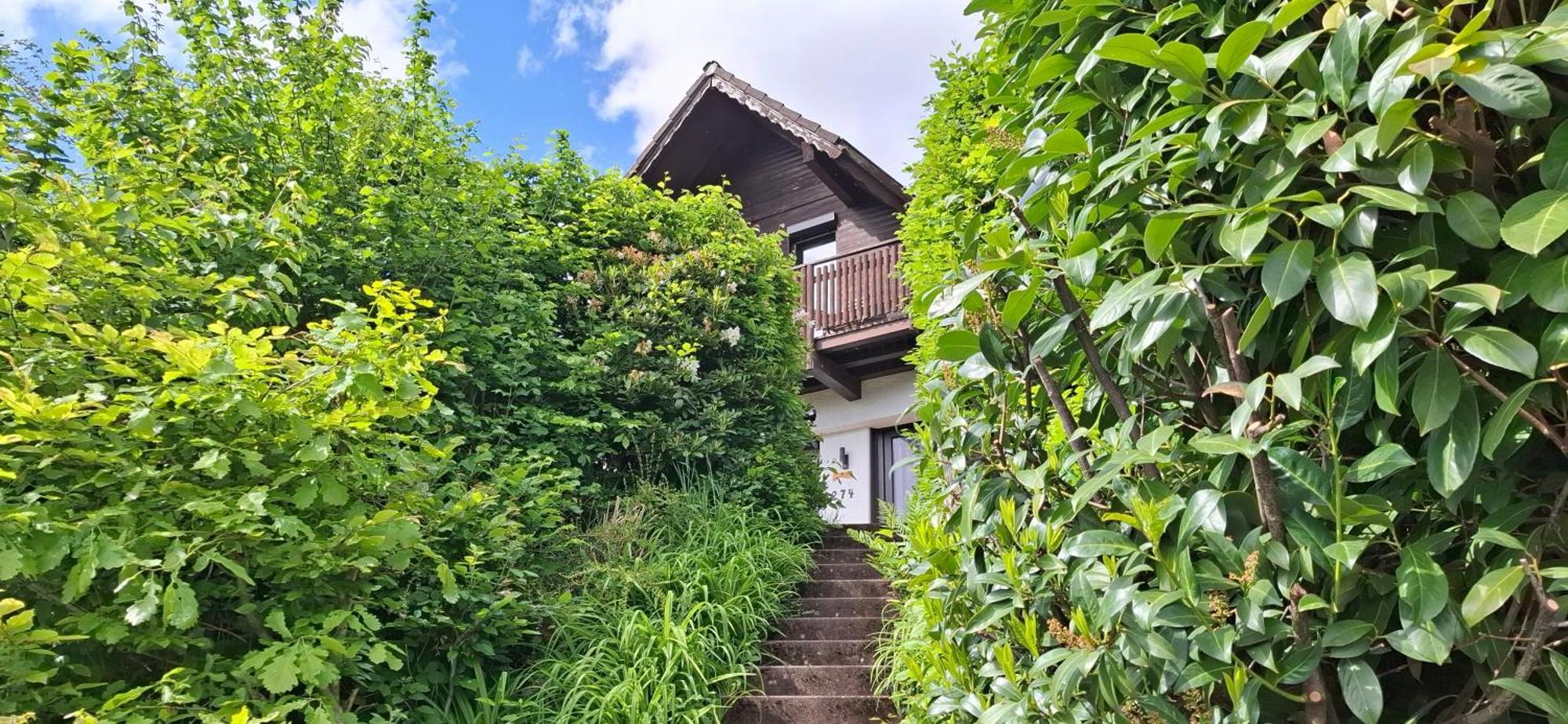 Odenwald Lounge Vila Reichelsheim Exterior foto