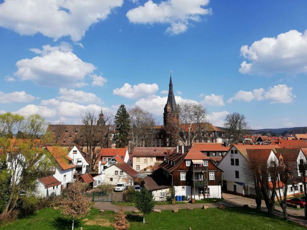Odenwald Lounge Vila Reichelsheim Exterior foto