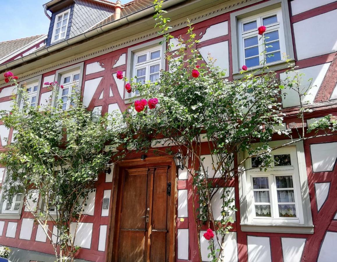 Odenwald Lounge Vila Reichelsheim Exterior foto